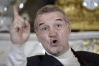 "Ţipi tu la mine, drogangiule?!". Becali cere demisia lui Daum şi îl propune pe Hagi la Naţională