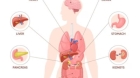 Descoperire privind cancerul celui mai inteligent organ: Acum se poate afla când crește o tumoare cu 4 semne
