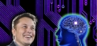 Elon Musk: "În șase luni vom avea primul om implantat cu cip în creier!" VIDEO