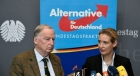 Germania - AfD cere dizolvarea controlată a UE: "Răbdarea noastră cu Uniunea Europeană si elitele globaliste s-a epuizat!"
