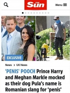 Harry și Meghan au aflat ce inseamna numele câinelui lor in limba română. "The Sun" le-a atras atentia ca e vorba despre "penis"!