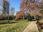 Parcul Elisabeta Rizea - "cadoul" oferit bucureștenilor de Clotilde Armand se află într-un grav litigiu