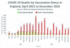 Raport secret din Marea Britanie: 9 din 10 decese Covid sunt in randul vaccinaților!

