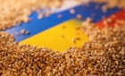 Rusia acuză Occidentul de manipulare a piețelor și provocarea intenționată a crizei alimentare
