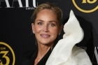 Sharon Stone a fost reprimită pe un site de matrimoniale. Motivul pentru care contul îi fusese suspendat