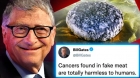 Studiile arată că falsa carne a lui Bill Gates provoacă "Turbo-Cancere" la oameni!