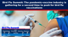Summitul privind gripa aviară: Industria vaccinurilor pandemice se reunește pentru a doua oară pentru a milita pentru vaccinarea obligatorie
