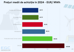 D-ale lu' Burduja: Hidroelectrica și Nuclearelectrica au vândut în 2024 energie Chișinăului la un preț de 2 ori mai redus decât cel plătit pe OPCOM

