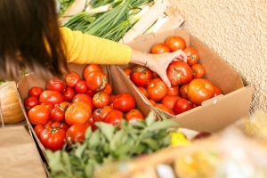 Un copil de 14 ani a inventat un dispozitiv bazat pe AI care detectează pesticidele: 