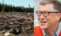 Bill Gates finanțează defrișarea a 70 de milioane de acri de pădure pentru a reduce încălzirea globală