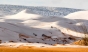 Planeta a luat-o razna! A nins in Desertul SAHARA, zapada de 40 cm