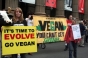 Un judecător britanic a decis ca veganismul etic este o credință filosofică protejată