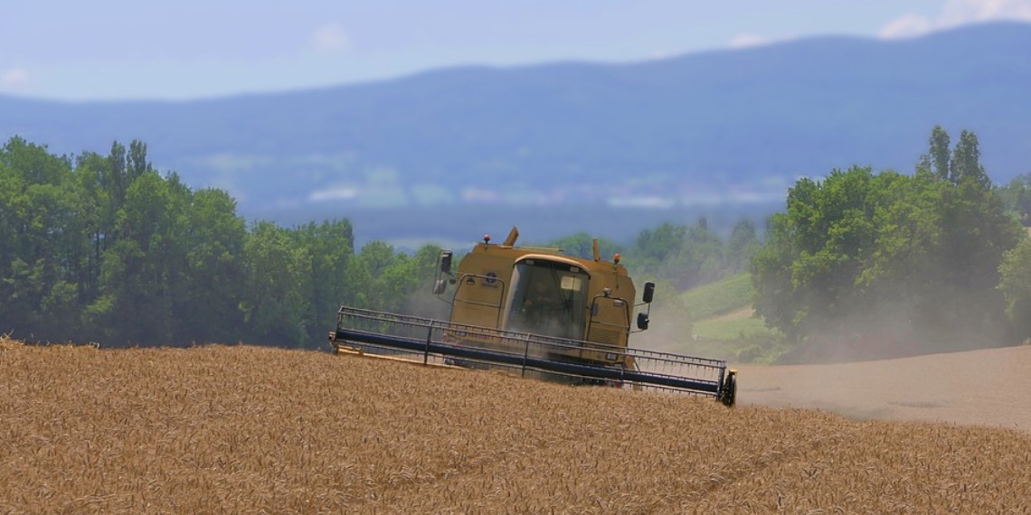 Agricultorii români spun că ne îndreptăm spre prăpastie. Ei cer eliminarea accizei la motorină și subvenție la îngrășământ!