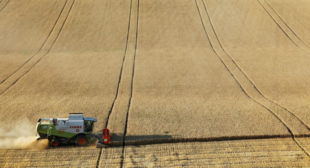 Banca Mondială recomandă României să raționalizeze utilizarea terenurilor agricole și să treacă la împădurirea lor
