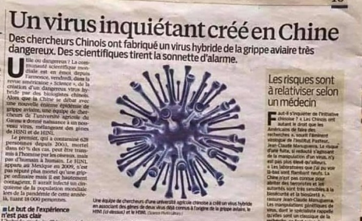 Cercetătorii chinezi au creat un virus hibrid extrem de periculos al gripei aviare. Dacă scapă pot fi 100 de milioane de morți!