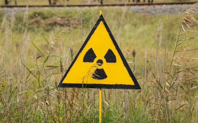 Cum o fi in România daca in Germania dupa 30 de ani de la accidentul nuclear de la Cernobîl ciupercile încă sunt contaminate radioactiv