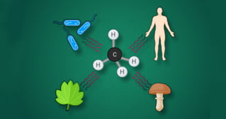 Descoperire surprinzătoare a cercetătorilor: Celulele oamenilor produc un gaz nociv cu efect de seră