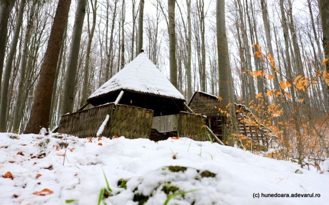 Fenomenele paranormale din Pădurea de Argint. Secretele 