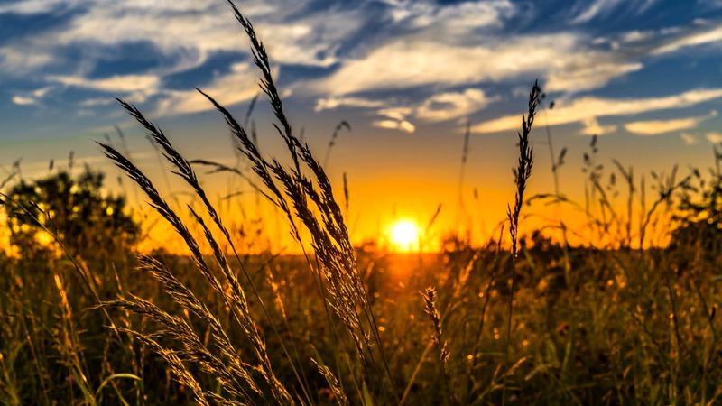 Meteo. Cum va fi vremea în următoarele 4 săptămâni