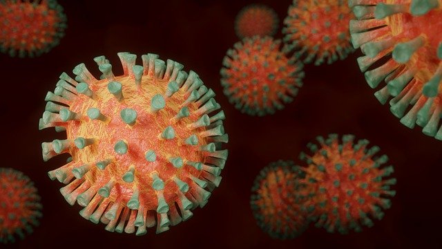 O groaznica epidemie de coronavirus a avut loc şi în urmă cu 20.000 de ani tot in Asia