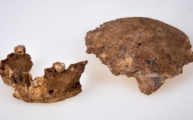 Omul de Levant: Nouă specie de om preistoric a fost descoperită de arheologi in Israel. Veriga intre Neanderthal si Sapiens