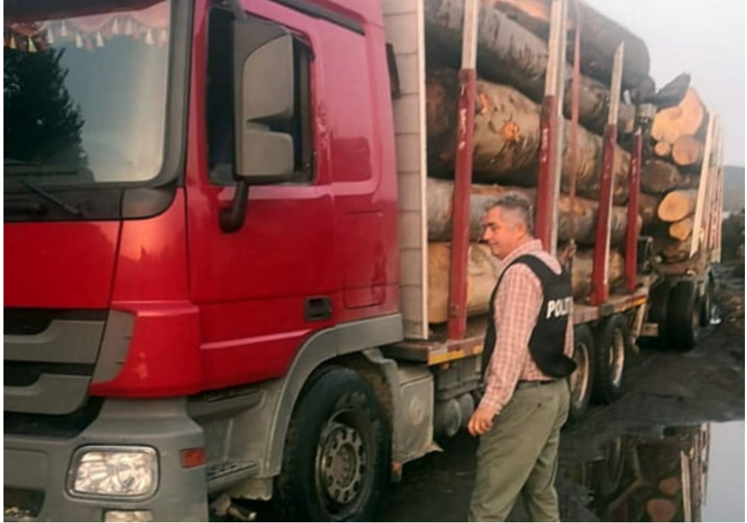 Un primar PSD din Arges a fost prins la volanul unui camion incarcat cu lemne fara acte de provenienta